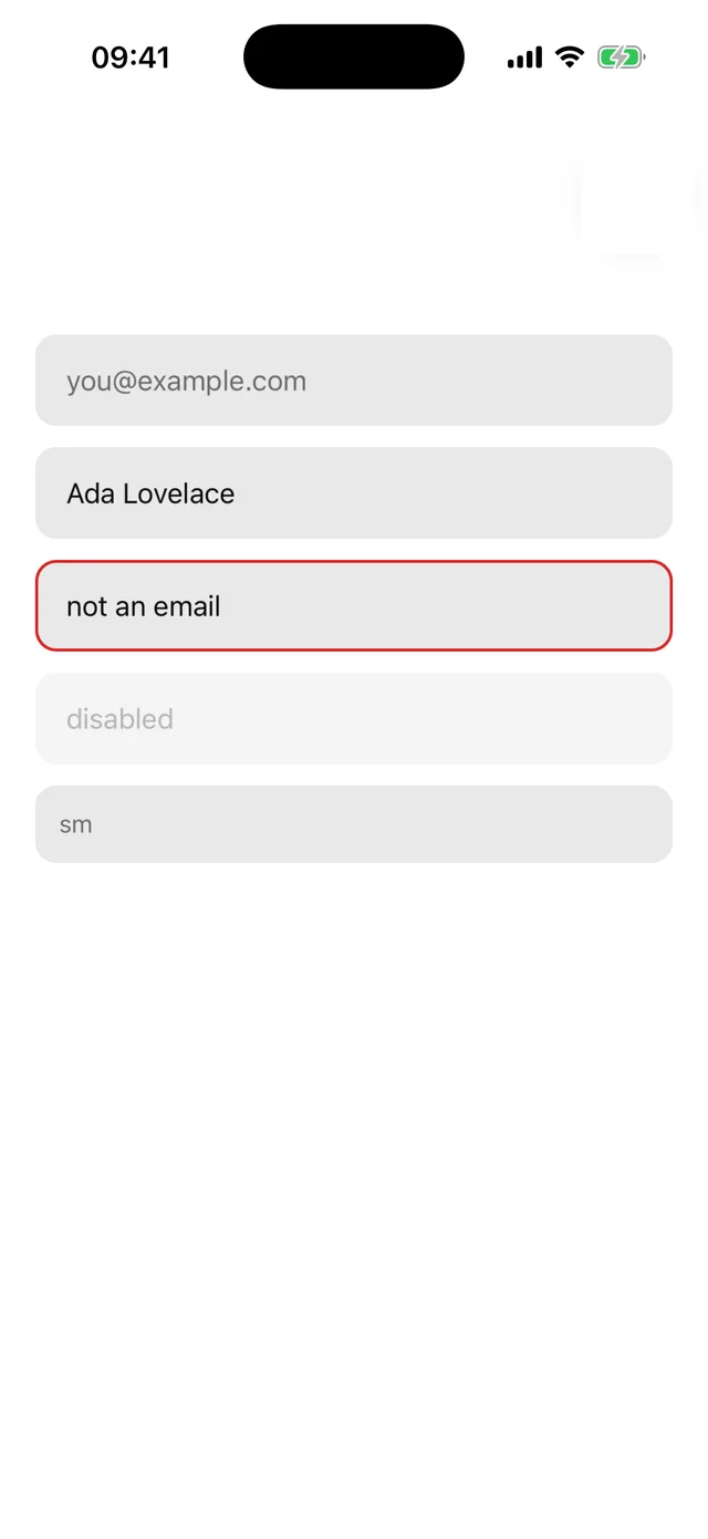 Input rendered on iOS, light mode